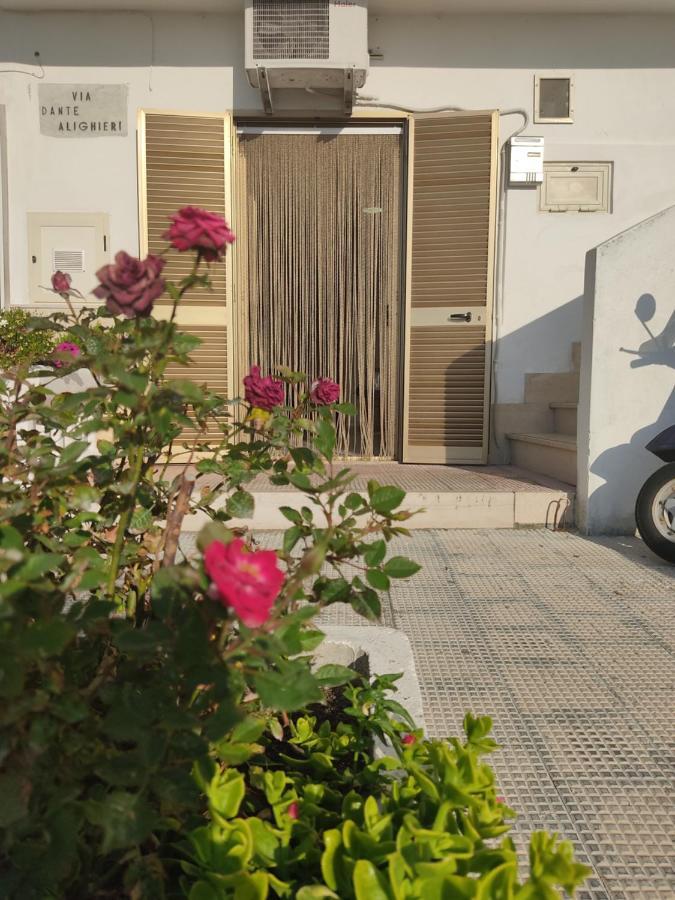 Apartament Bilocale Pirata Vieste Zewnętrze zdjęcie